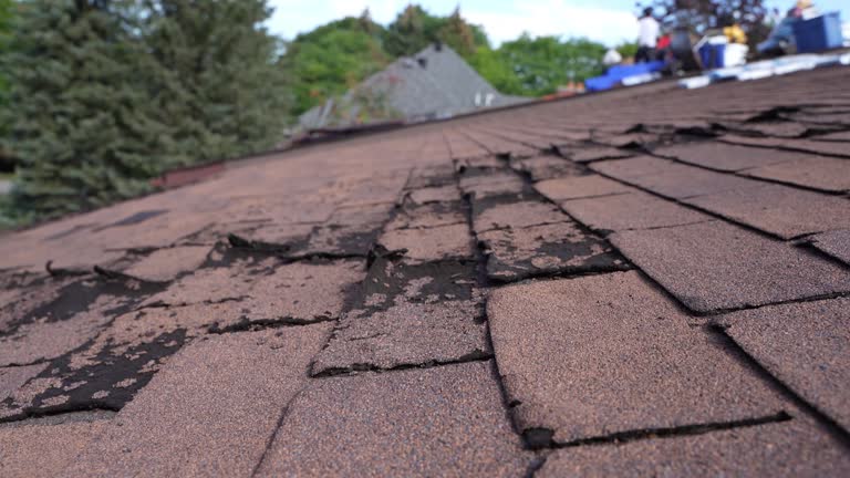 Waterproofing in Bellevue, IL