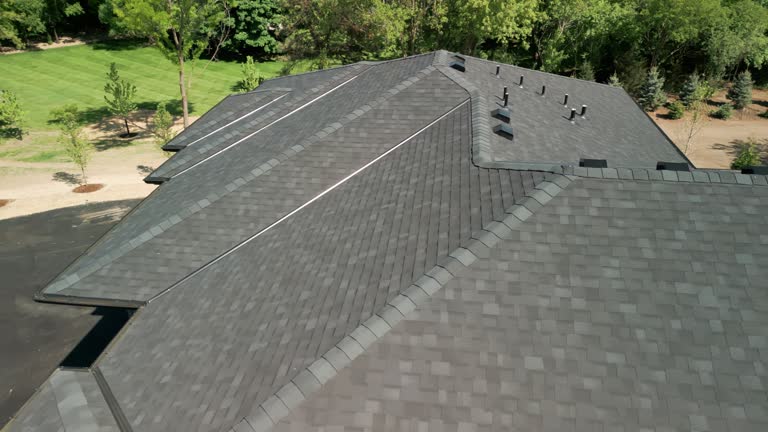Trusted Bellevue, IL Roofing Service Experts